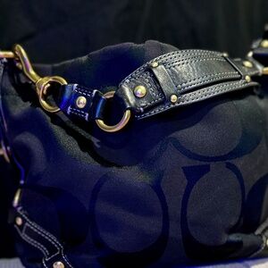 Coach Carly Signature Hobo Bag